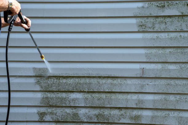 Best Stone Veneer Siding  in Botkins, OH