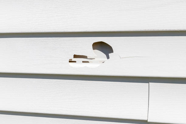 Best Siding Maintenance  in Botkins, OH