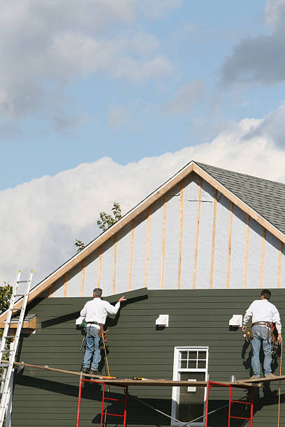 Best Steel Siding Installation  in Botkins, OH