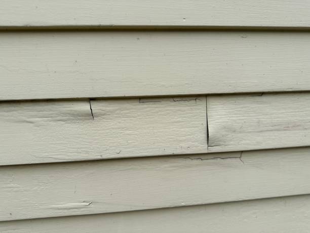 Best Historical Building Siding Restoration  in Botkins, OH